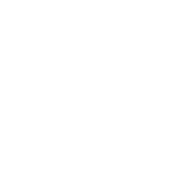 AVM